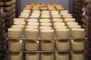 Cheese festival coming to Staffordshire